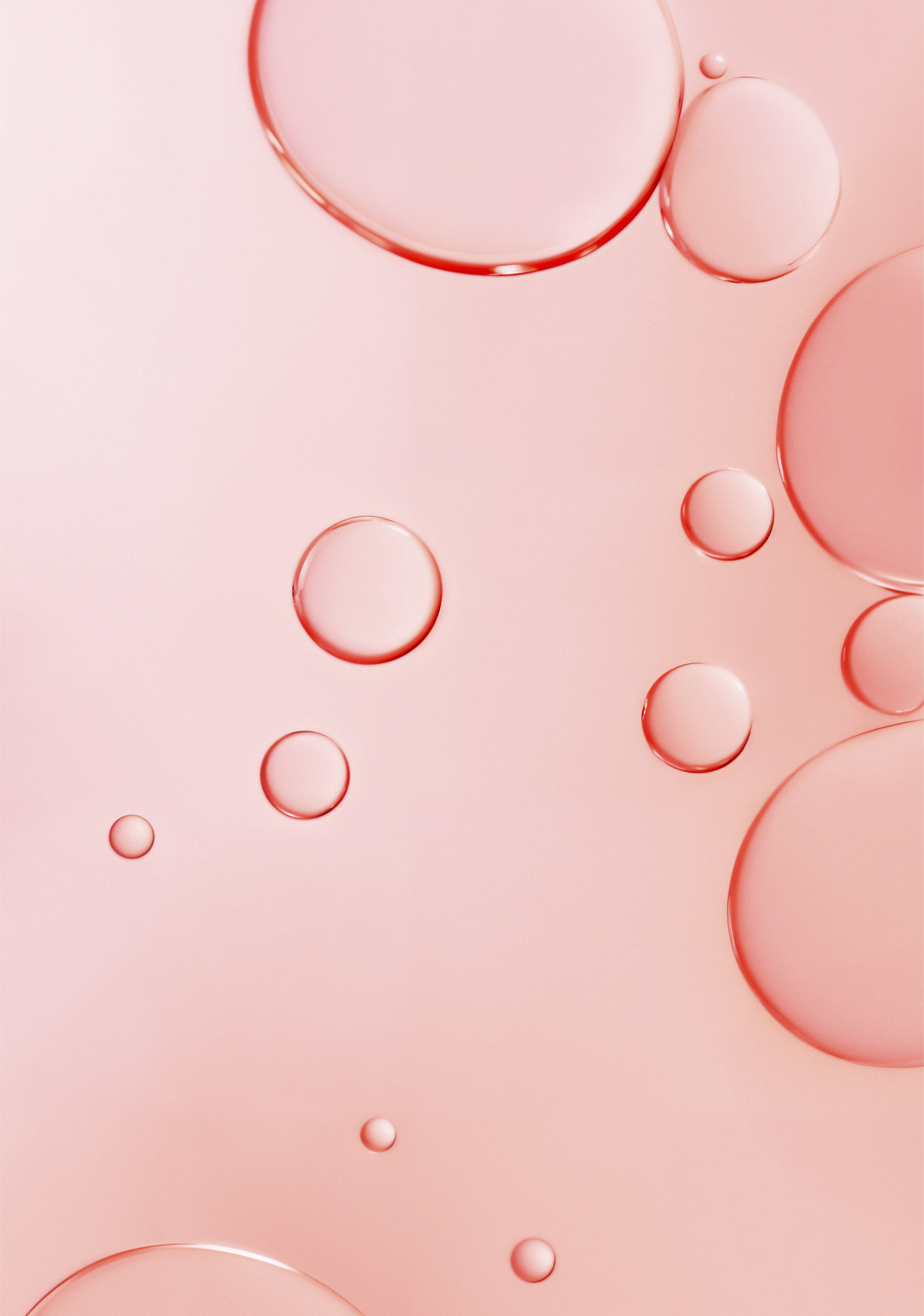 banner1