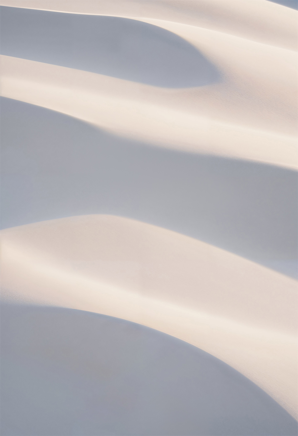 banner2